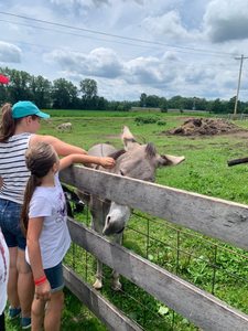 Kadın ayarlanabilir yüksek dağınık topuz beyzbol şapkası Criss çapraz at kuyruğu hızlı kurutma şapka ile el nakışı - Product Image 2