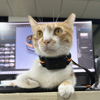 Nouvelle Arrivée 4G Pet Smart Tracking Device Chat Chien App Moniteur D'activité En Temps Réel Anti-Perte GPS Tracker Collier Avec Appel Vocal