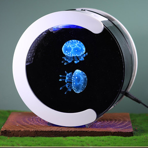 Hot bán giá đặc biệt hình bầu dục sinh thái xe tăng sống sứa Máy tính để bàn thiết kế với sáng tạo chuyển đổi cung cấp điện - Product Image 1