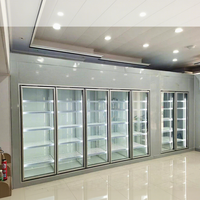 Chambre froide de plain-pied personnalisée à 22 portes, congélateur vitrine, refroidisseur -25°C 220V monophasé, stockage rapide de la glace pour aliments surgelés