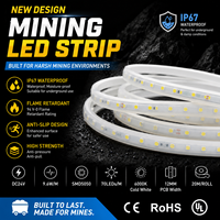 Bande lumineuse LED pour tunnel minier, 20 m/rouleau, DC24V, IP67, étanche, résistante à la poussière, pour environnements difficiles, éclairage industriel