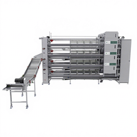 Cage à poulets automatique multi-niveaux de type H à rendement élevé (ROI) pour élevage avicole avec conception de plan de configuration gratuite