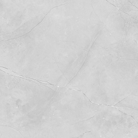 Padadiso Grauer Marmor-Look Porzellanfliese 600x1200mm Modern Pflegeleicht Wasserdicht für Boden Wand Badezimmer Wohnzimmer Schule