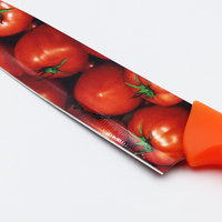 Custom Logo Kleur Gedrukt Keukenmes Rvs Bedrukt Keukenmes Patroon Chef Fruitmessen