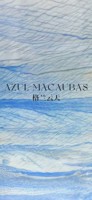 Dalle de quartzite bleu Azul Macaubas, plaque de marbre polie, taille personnalisée pour le revêtement mural, la décoration intérieure