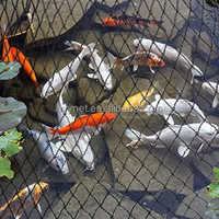 Filet anti-oiseaux 100% HDPE, filet pour volailles, filet anti-oiseaux agricole pour fermes, jardins, vergers
