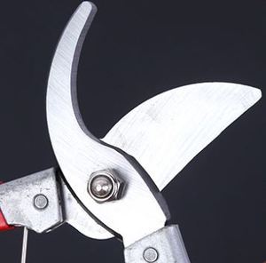 Hot Bán Kính Thiên Văn Dài Đạt <span class=keywords><strong>Pruner</strong></span> Vườn Cắt Tỉa Kéo Cắt Nhành Cây Kéo Dài Cây Loppers Với Chất Lượng Cao - Product Image 4