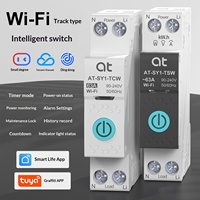 Disjoncteur intelligent Wi-Fi Graffiti Mini 1P avec contrôle par application, interrupteur de minuterie à distance via téléphone portable, montage sur rail 90-240V
