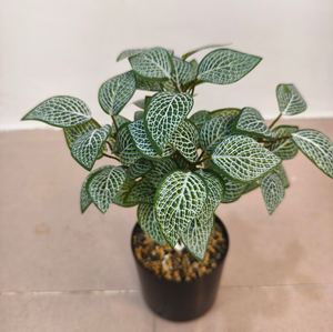 Plante verte artificielle à <span class=keywords><strong>tige</strong></span> unique, feuille <span class=keywords><strong>de</strong></span> <span class=keywords><strong>laurier</strong></span> à 5 branches avec veines en maille, décoration paysagère - Product Image 5