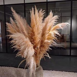Grandes fleurs de pampa séchées naturelles et préservées, moelleuses et hautes, pour la décoration de mariage - Product Image 5