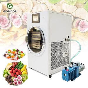 Liofilizador de Frutas, Secador al Vacío para Leche, Máquina de Secado por Congelación para Frutas y Verduras - Product Image 1