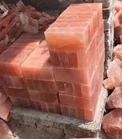 Briques de sel rose de l'Himalaya naturel, carreaux de sel de l'Himalaya, vente en gros de carreaux de sel de l'Himalaya, gros blocs de sel de l'Himalaya pour la cuisson au barbecue