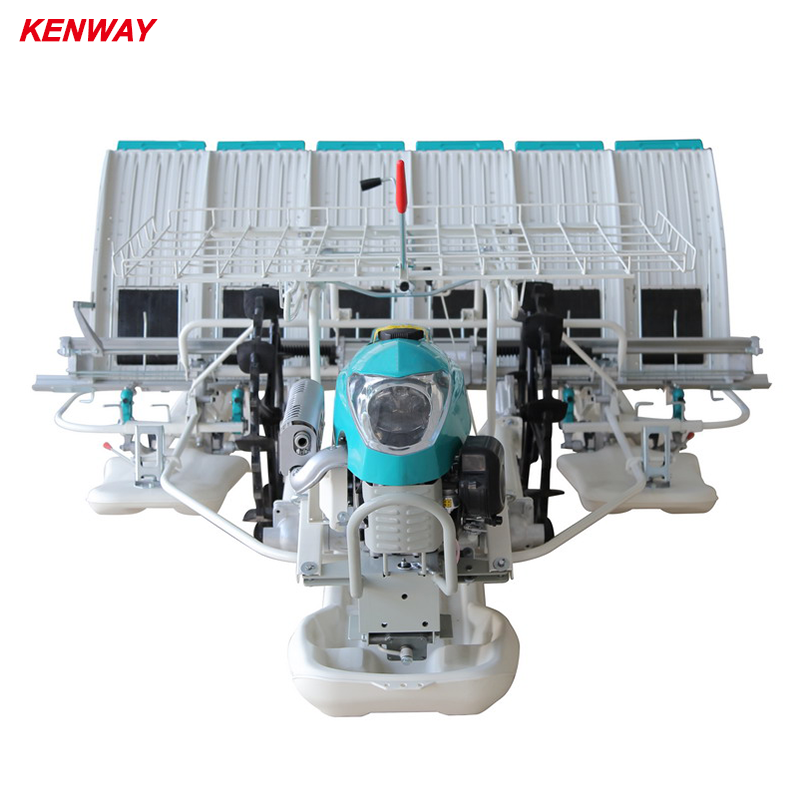 2022 Новый мотоблок ручная работа 6 строк Пэдди рисовая сажалка, прогулок по эксплуатации Пэдди ящик для комнатных растений, рис на ёршиках