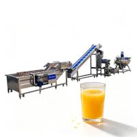 Volledig automatische sapverwerkingsinstallatie, kleine tot grote schaal fruit sap productielijn