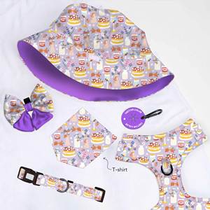 2024, superventas, nuevo conjunto de 6 uds., arnés para perros a juego, sombreros de invierno, camisetas, lazo de <span class=keywords><strong>marinero</strong></span> con dueño, collar <span class=keywords><strong>y</strong></span> arnés para mascotas - Product Image 5