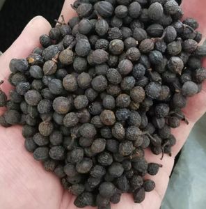 Nuovo raccolto cina grossista prezzo a buon mercato Cubeb <span class=keywords><strong>semi</strong></span> di pepe per la vendita Mujiangzi ShanCangzi - Product Image 5
