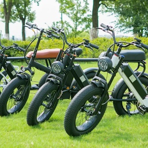 Bicicleta Eléctrica Económica con Llantas Gruesas de 20 Pulgadas, Batería de Litio de 500W48V12ah - Product Image 5