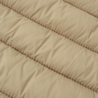 Gilet matelassé léger sans manches pour femme, col montant, fermeture éclair frontale, couche de transition, printemps-automne, vente en gros