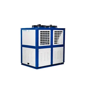 Ruixue High Quality Box Type Condensing Unit for Cold Room the Whole Refrigeration Unit Under Low Temperature