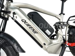 2025 Queene <span class=keywords><strong>20</strong></span> <span class=keywords><strong>pouces</strong></span> E neige vélo double moteurs vitesse rapide 48V/60V 2000W électrique gros pneu vélo avec suspension complète - Product Image 4