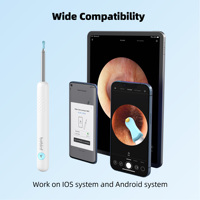 Otoscope portable sans fil WiFi en plastique ABS pour nettoyage d'oreilles, caméra de détection de cérumen visible, prise US