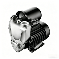 Pompe à eau automatique haute pression 1 CV, électrique, auto-amorçante, surpresseur, aspiration automatique, personnalisable OEM
