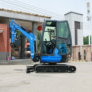 Spedizione gratuita Mini escavatore 2 Ton EPA CE EURO 5 cingolato casa scavatore fattoria motore Kubota Bagger personalizzato - Product Image 5