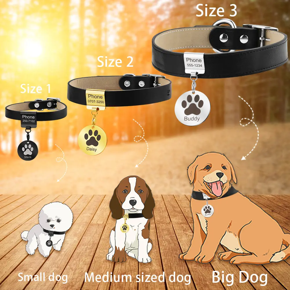 Duoying OEM lettering collar pet anti-loss personalized stainless steel round pet collar