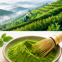 Poudre de thé vert Matcha 100g Qualité Cérémoniale Vente en Gros Marque Privée OEM Échantillon Gratuit Usine Chinoise