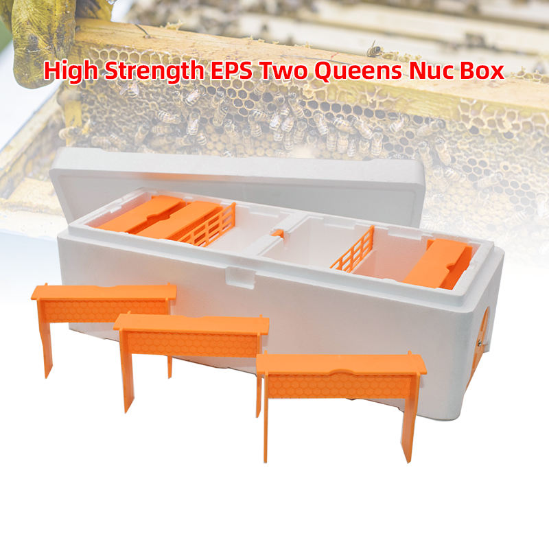 High Strength EPS Double Nuc Boxes Polystyrene Two Bee Queen Rearing Mating Nucs