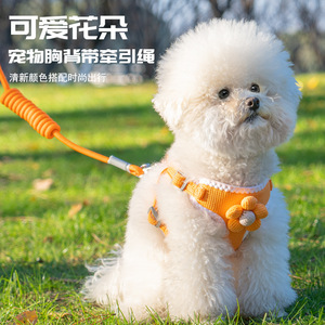 Correa para perro estilo chaleco, arnés de pecho para perros pequeños tipo Teddy Bichon Frise, cuerda para pasear gatos y conejos, cadena, artículos para mascotas - Product Image 1