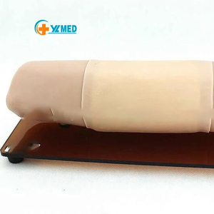 Modello Avanzato per l'Impianto Subcutaneo in Scienza Medica, Braccio per Esercitazioni di Implantologia, Guida Subcutanea, Trattamento Patologico della Pelle - Product Image 1