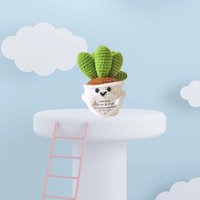 2025 vente chaude tricoté à la main plantes en pot succulentes ornements de bureau émotionnels interdisant les cartes d'anxiété fête des pères saint valentin