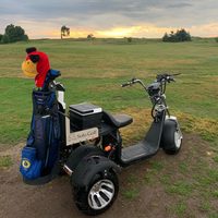 Triciclo Eléctrico Inteligente con GPS para el Mercado Australiano, Scooter de 3 Ruedas con Motor de 2000W, Impermeable y Plegable