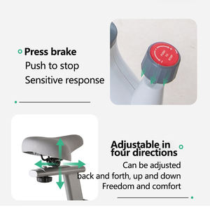 LADYGLOW, <span class=keywords><strong>bicicleta</strong></span> de <span class=keywords><strong>spinning</strong></span> magnética para interiores, <span class=keywords><strong>bicicleta</strong></span> de ejercicio para el hogar para gimnasio, bicicletas de ejercicio portátiles y extraíbles - Product Image 2