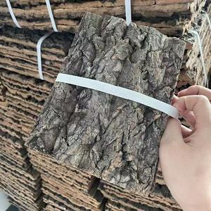 Fond de terrarium en liège, arrière-plan en écorce pour reptiles, décoration murale pour terrarium de dragon barbu, habitat pour gecko, lézard, tortue, grenouille - Product Image 6