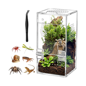 Ventilazione All-Side Pre-assemblata 3.5 "x 3.5" x 7 "acrilico terrario magnetico porta espositore per il salto ragni mantide religiosa - Product Image 1