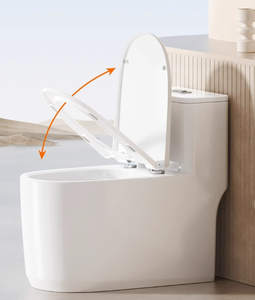 สุขภัณฑ์ชิ้นเดียวแบบมีบิเดต์ ระบบกดน้ำสองปุ่ม วัสดุเซรามิก - Product Image 4