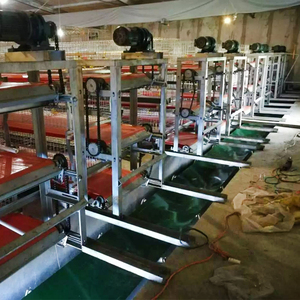 Système automatique de <span class=keywords><strong>cage</strong></span> pour poulets de chair de type H à 3 étages et 4 niveaux avec convoyeur à bande pour le nettoyage des déchets à vendre - Product Image 1