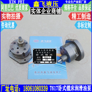 อุปกรณ์เสริมเครื่องเจาะแนวนอนรุ่น T617 ของโรงงานเครื่องจักรวัฟางเตี้ยน  ปั๊มจ่ายน้ำมันหล่อลื่นแบบไซโคลิด T6112 ปั๊มน้ำมัน T6113 - Product Image 1