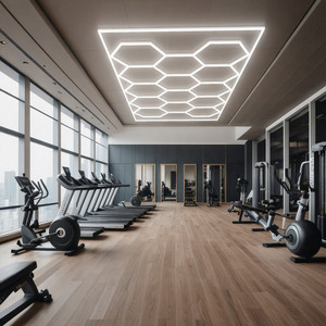 Nouvelle usine Super lumineux Auto détaillant le cadre 6500K salle de sport Garage hexagone <span class=keywords><strong>néon</strong></span> - Product Image 1