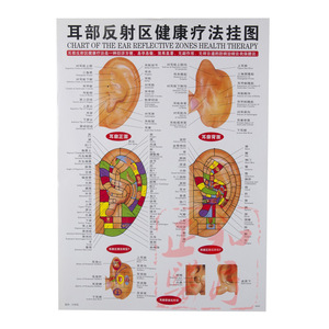 Human Meridian And Acupoint Wall Chart Set 7Pcs Plastic Bilingual Chinese English For Acupuncture Therapy - Product Image 4