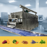 Machine automatique de séchage à bande de circulation d'air chaud Jujube Wolfberry Raisin Pruneaux Abricot Équipement de séchage