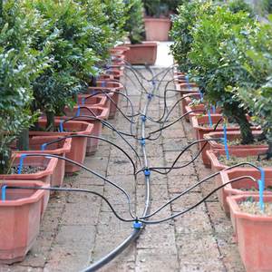 Système d'irrigation goutte à goutte en gros pour usine, 4 branches, goutteur à flèche avec micro-tube de 50 cm et goutteur <span class=keywords><strong>PC</strong></span> - Product Image 6