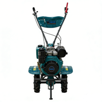 Micro-cultivateur 2 rangs 50 kg avec boîte de vitesses 192CC, moteur diesel 135 de 10 CV, haute efficacité, économie d'énergie, faible consommation de carburant