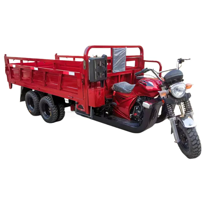 Triciclo de gasolina personalizado de 300CC, motocicleta motorizada de 9 ruedas con carga de descarga para desplazamiento de pasajeros de 250CC