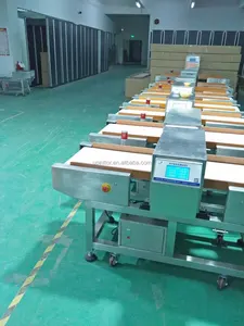 Industrial Conveyor Belt Metal Detector For Milk Powder Bag Carton PD-500QD