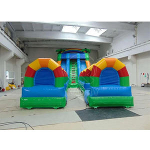 Yaz Partisi Kiralama Ürünleri Ağır Hizmet Tipi PVC Dev Şişme Zıplama Şatosu Su Kaydırağı Kombosu Palmiye Şişme Su Kaydırağı İki Kulvarlı - Product Image 3