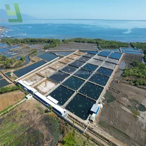 China Factory Price Liner Piscina HDPE Geomembrane Polyethylene Fish Farming 0.5mm 1mm Shrimp Pond