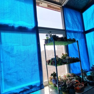 Rete parasole blu anti-uv HDPE tenda da campeggio all'aperto giardino pergolati reti ombreggianti balcone in vaso succulenta copertura <span class=keywords><strong>per</strong></span> piante - Product Image 6